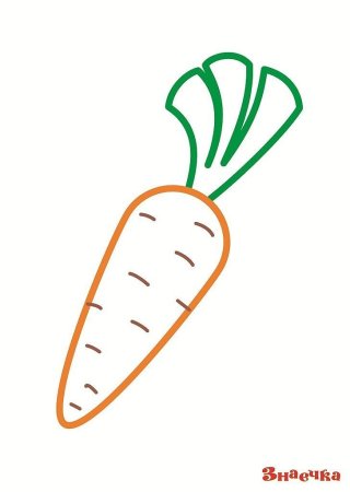 Раскраска морковь. Распечатать картинки бесплатно.
