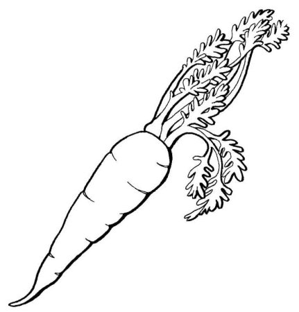 Морковь раскраска