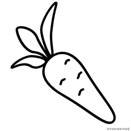 Две морковки раскраска