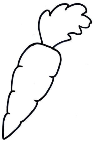Морковь контур для детей