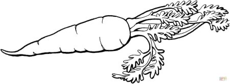 Раскраска овощи морковь