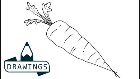 Морковь раскраска