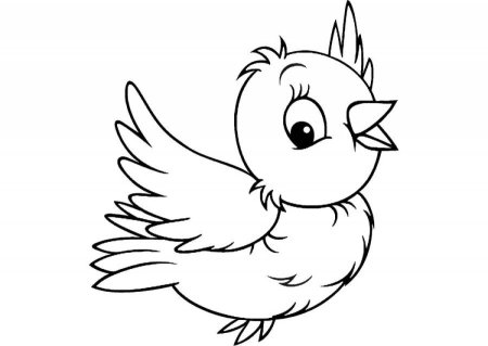 Птичка раскраска