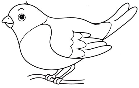 Птицы раскраска для детей