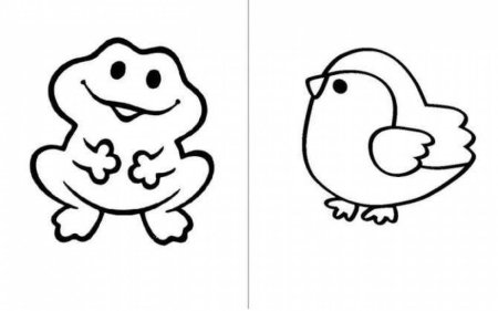 Правильные раскраски для самых маленьких