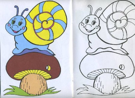 Раскраска по образцу