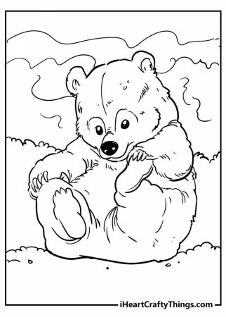 Bear Coloring Pages for Kids