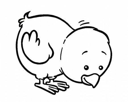 Цыпленок. Раскраски