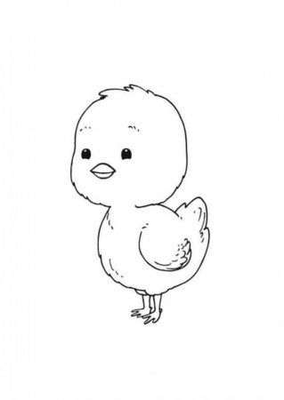 Цыпленок для раскрашивания