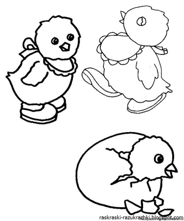 Маленький цыпленок раскраска