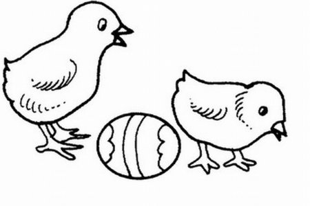 Цыпленок клюет раскраска для детей