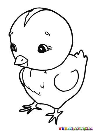 Цыпленок рисунок