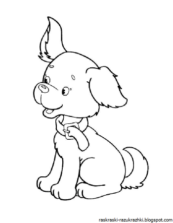 Собачка раскраска для детей