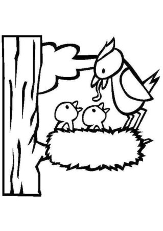 Раскраска гнездо птицы