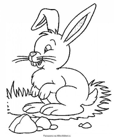 Заяц и Зайчонок раскраска