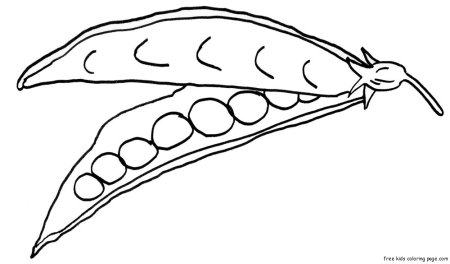 Раскраска овощи для детей 2-3 лет