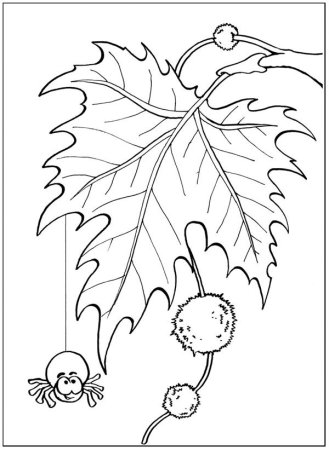 Осень раскраска для детей