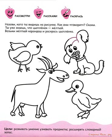 Развивающие задания для малышей 2-3 лет