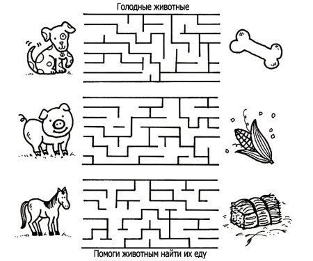 Задание для дошкольников 4-5 лет Лабиринт