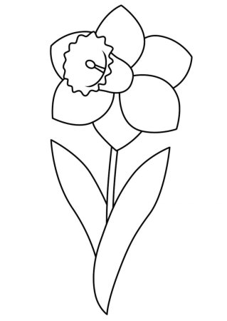 Цветы. Раскраска для малышей