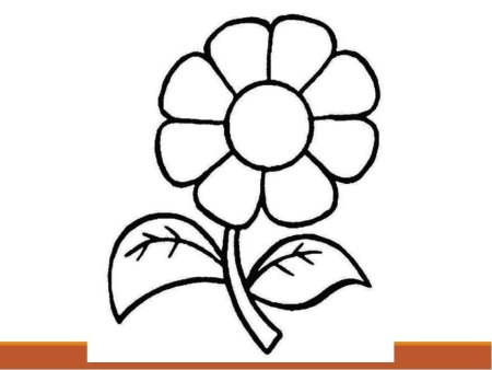 Ромашка раскраска