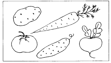Трафареты овощей и фруктов для рисования
