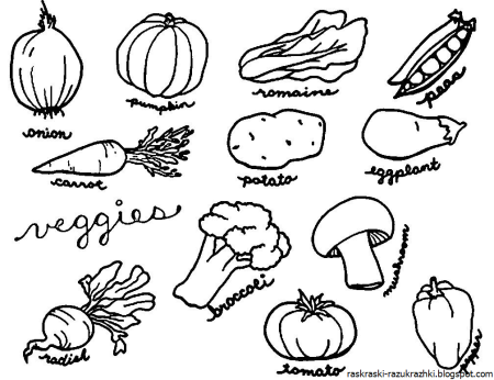 Овощи раскраска для детей
