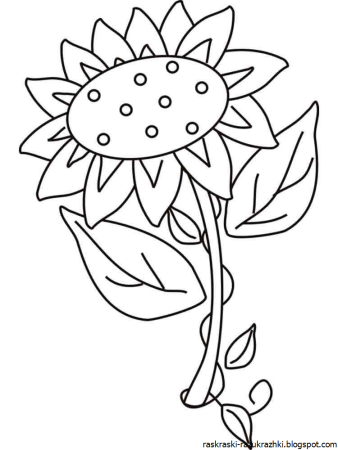 Подсолнух. Раскраска