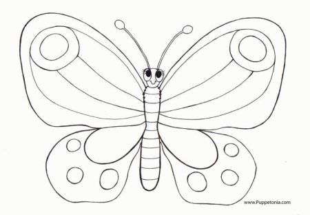 Раскраска насекомые бабочка