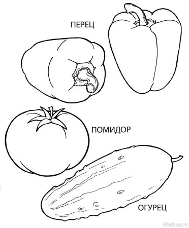 Овощи для детей