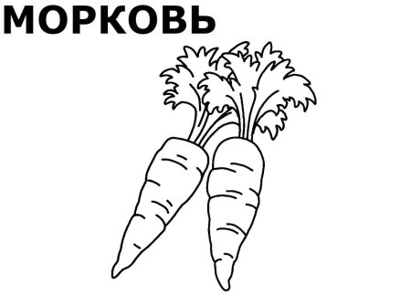 Овощи для дошкольников черно белые