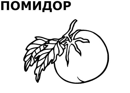Овощи раскраска для детей