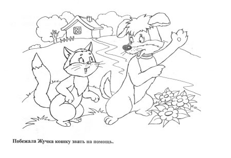 Жучка из сказки Репка раскраска