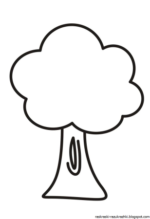 Лиственные и хвойные деревья задания для дошкольников