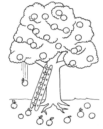 Дерево раскраска для детей