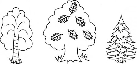 Дерево Весна раскраска