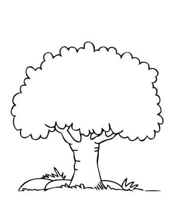 Яблоня раскраска для детей