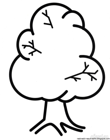 Лиственные и хвойные деревья задания для дошкольников