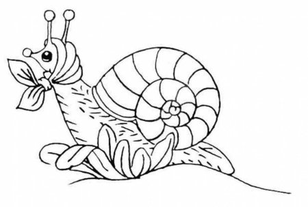 Насекомые для раскрашивания детям