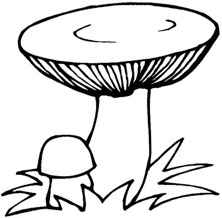 Контур гриба сыроежка