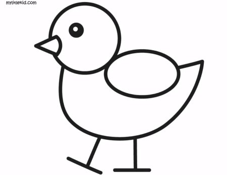 Цыпленок раскраска для малышей