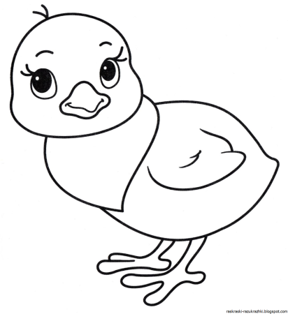 Цыпленок. Раскраски