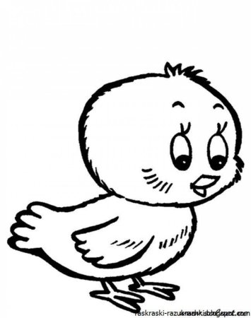 Цыпленок рисунок
