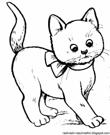 Кошка раскраска для детей