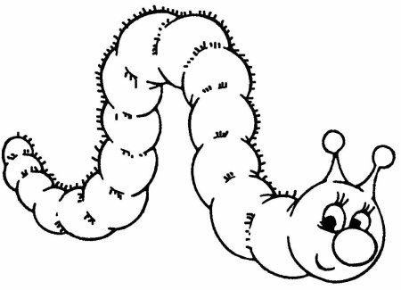 Гусеница раскраска для детей