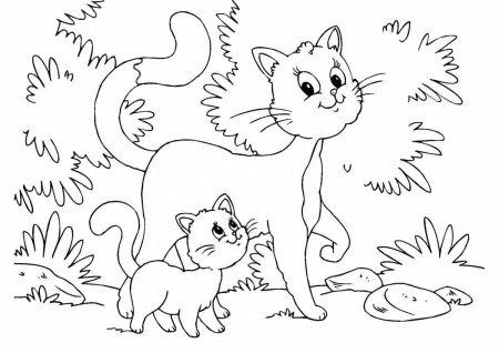 Раскраска. Котики