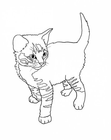 Котенок для раскрашивания детям