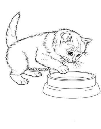 Кошка раскраска для детей