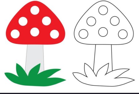 Раскраски грибы мухомор для детей 3-4 лет