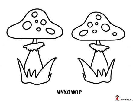 Мухомор раскраска для детей